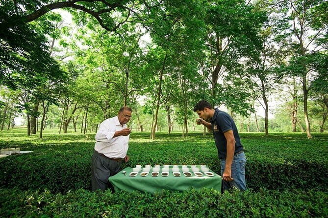 Palampur's Guided Day Tour: Discover the Tea Capital. - Practical Details and What You Should Know