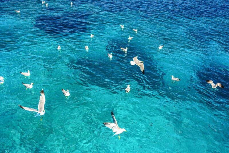 Palau: La Maddalena Archipelago and Caprera Island Boat Tour - Exploring the La Maddalena Archipelago and Caprera by Boat
