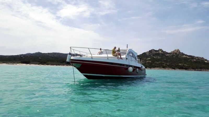 Palau: La Maddalena Archipelago Cruise with Lunch and Drinks - Who Will Love This Tour?