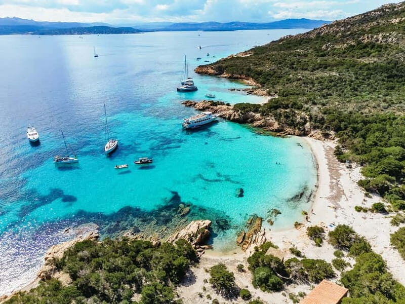Palau or La Maddalena: 4-hour RIB tour of the archipelago - A Deep Dive into the Experience