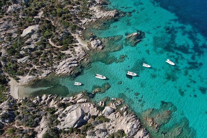 Palau: private RIB tour in La Maddalena Archipelago - Key Points