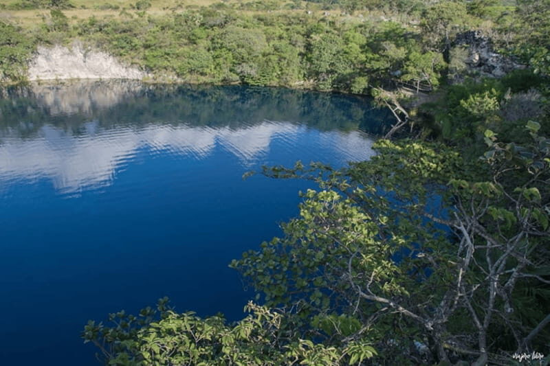 Palenque: Catazajá Lagoon Wildlife Adventure - Who Will Appreciate This Tour?