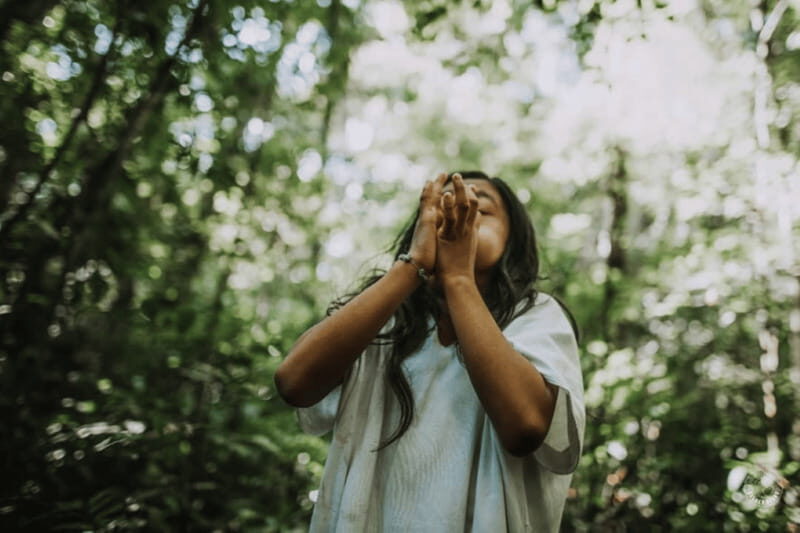 Palenque: Lacandona Jungle Path - Ecotourism Adventure - An In-Depth Look at the Lacandona Jungle Path Tour