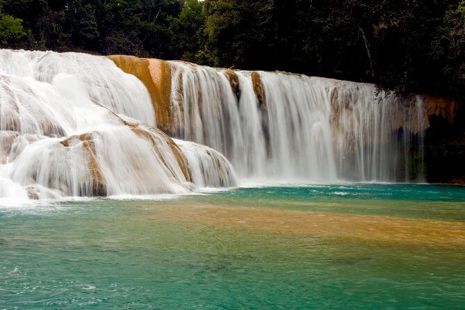 Palenque Mayan Ruins, Misol-Ha and Agua Azul Waterfalls Full Day Tour from Palenque - What Do the Reviews Say?