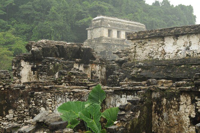 Palenque Mayan Ruins, Misol-Ha and Agua Azul Waterfalls Full Day Tour from Palenque - Who Should Consider This Tour?