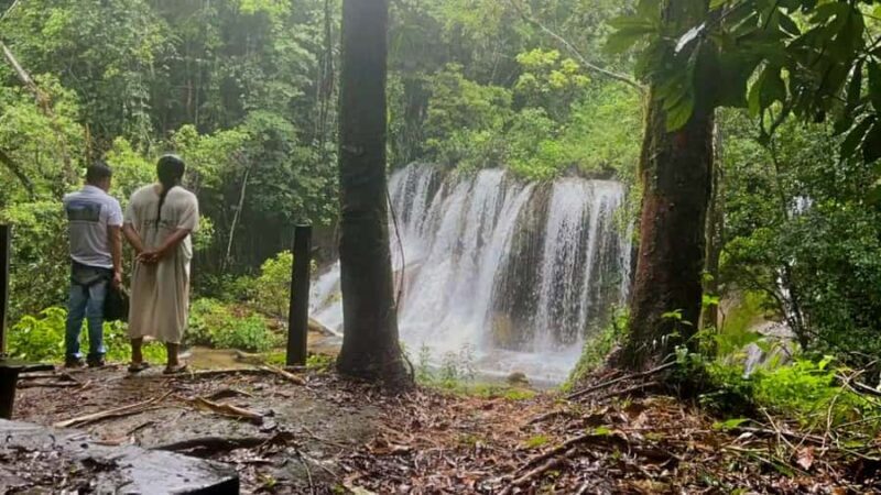 Palenque: Rafting and Hiking in the Lacandona Jungle - Authenticity and Value