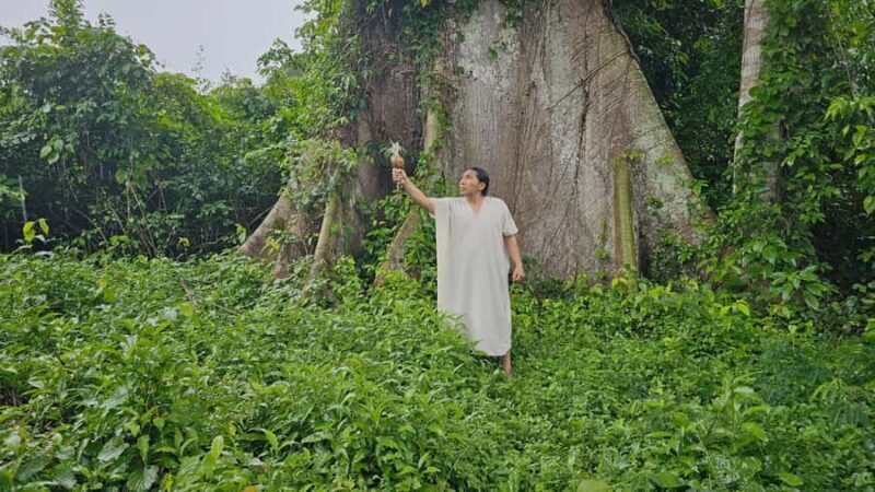 Palenque: Rafting and Hiking in the Lacandona Jungle - Frequently Asked Questions