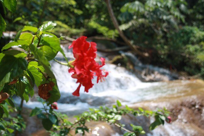 PALENQUE RUINS, AGUA AZUL and MISOL-HA (Private) - The Value of the Experience