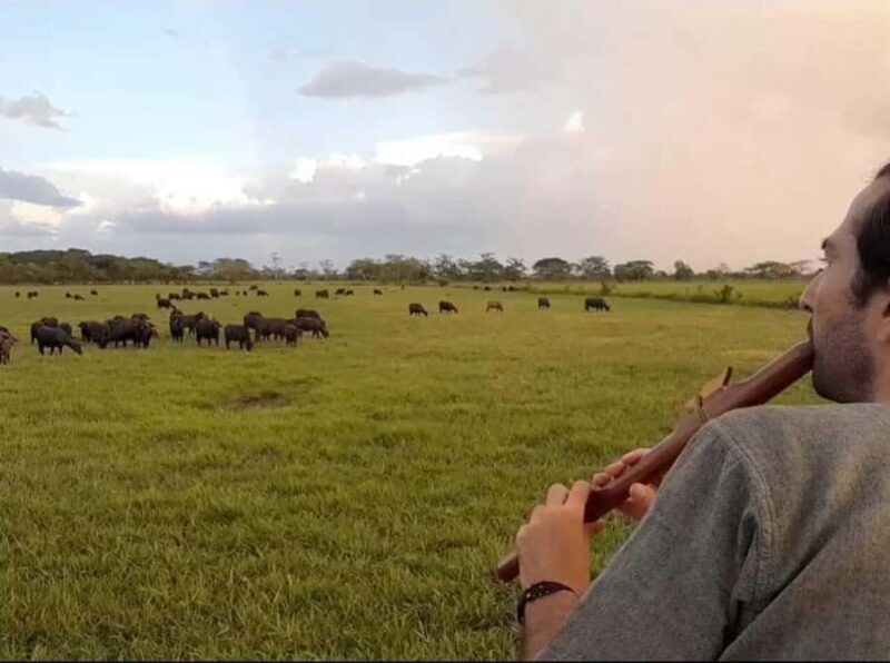 Palenque: waterfalls, buffalo, & birdwatching, a soulful immersion - Key Points