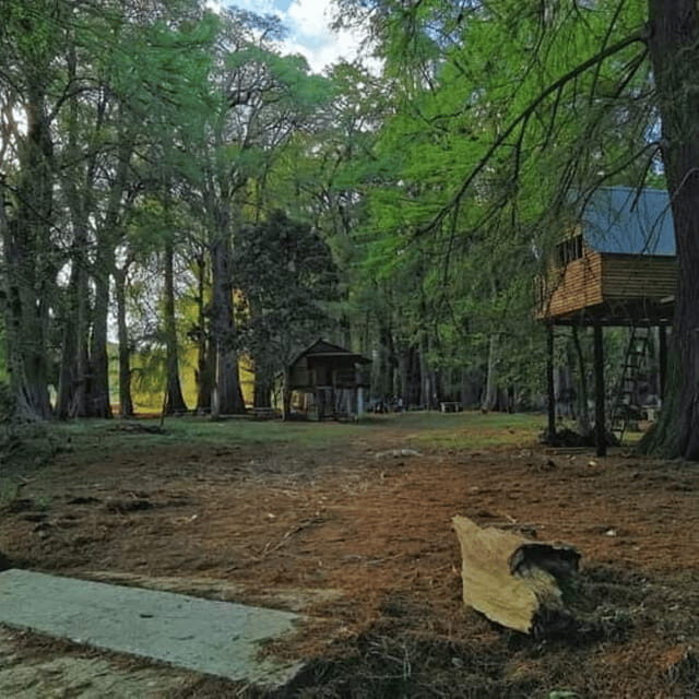 Palenque: Yaxchilan, Bonampak and Lacanja Jungle Adventure - An In-Depth Look at the Palenque: Yaxchilan, Bonampak, and Lacanja Jungle Adventure