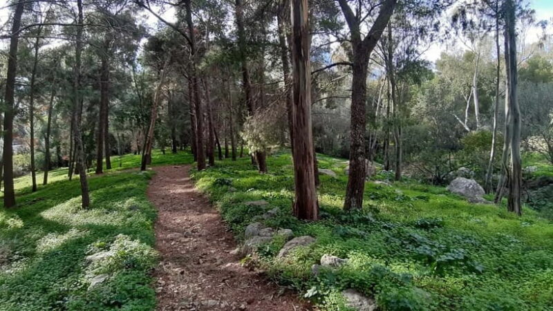 Palermo: Day trip to Monte Pellegrino - Key Points