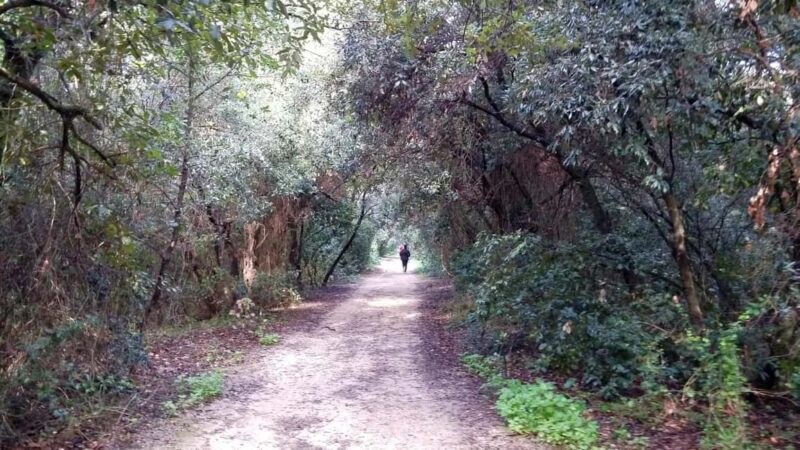 Palermo: Day trip to Monte Pellegrino - Final Thoughts