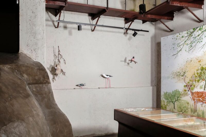 Palermo: sensorial experience of nature and ecology - Exploring Palermo’s Natural and Ecological World at Radici