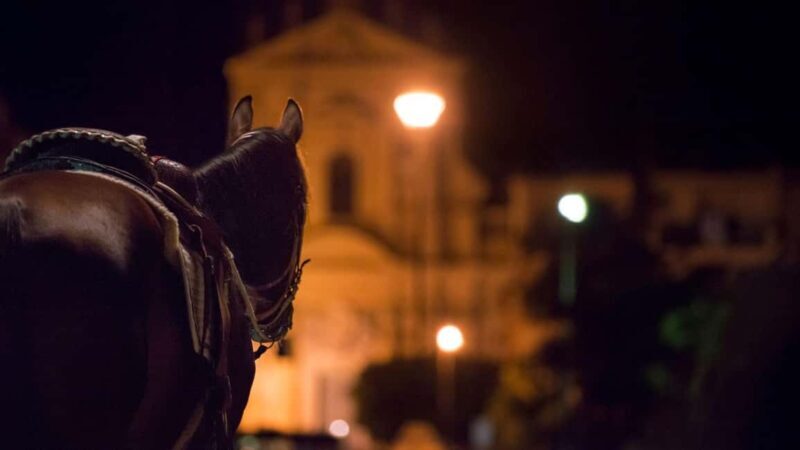 Palermo's Dark Shades: Ghost, Crime and Tasting Walking Tour - The Experience in Detail: Why This Tour Works