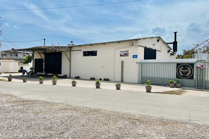 Pallada Semi-Private Olive Oil Tours in Sternes, Chania - A Closer Look at the Pallada Olive Oil Tour