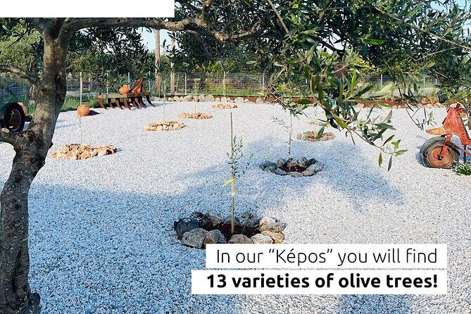 Pallada Semi-Private Olive Oil Tours in Sternes, Chania - Why This Tour Offers Great Value