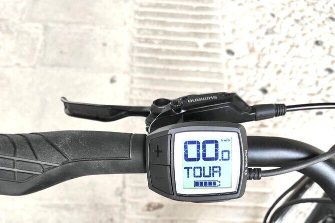 Palladian E-Bike Rental in & around Vicenza - The Sum Up