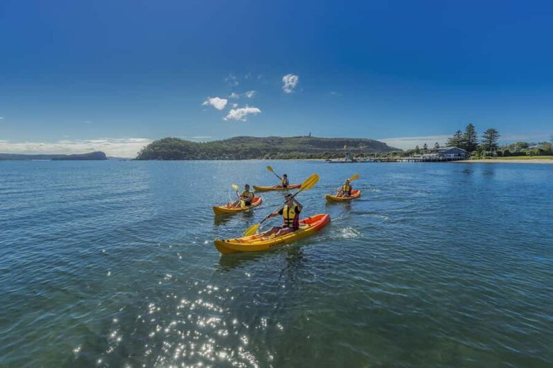 Palm Beach Harbour Hopper 24-hour or 48-hour Cruise Pass - Introduction