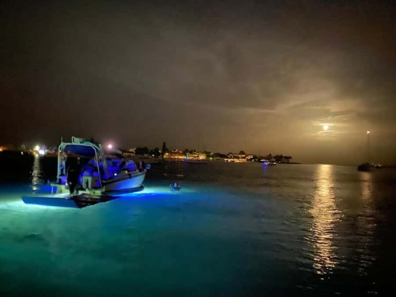 Palm Beach Luxury Day Boat Cruises - Who Will Love This Tour?