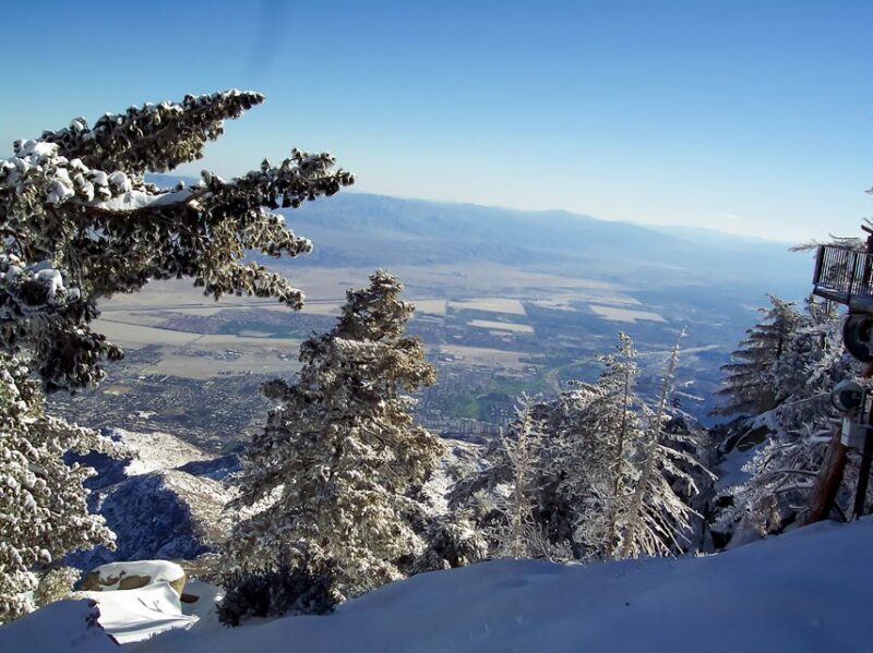 Palm Springs: Aerial Tramway Round-Trip Ticket - What to Expect at the Mountain Station