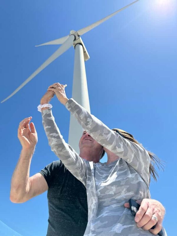 Palm Springs: Guided Golf Cart Windmill Tour - What Youll See and Learn