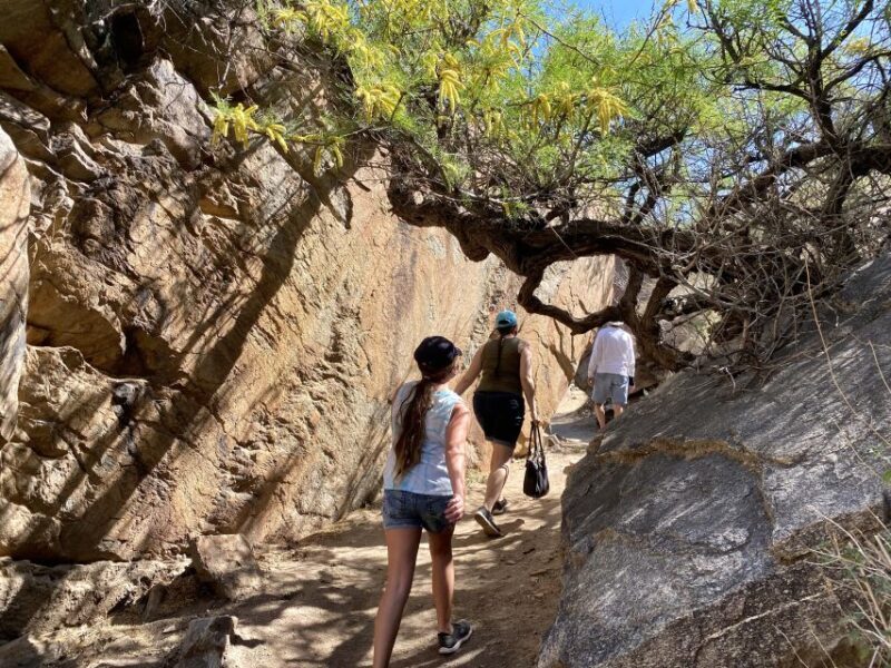 Palm Springs: Indian Canyons Jeep/Hiking Combo Tour - The Sum Up
