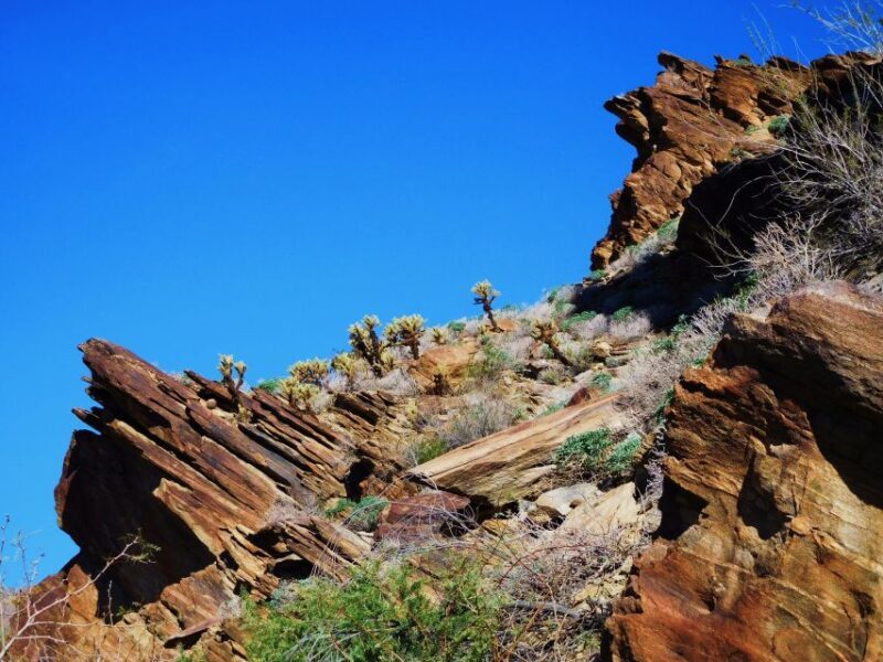 Palm Springs: Indian Canyons Jeep/Hiking Combo Tour - FAQ