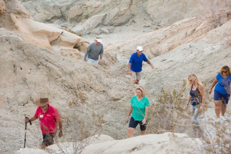 Palm Springs: San Andreas Fault Open-Air Jeep Tour - Practical Details and Considerations
