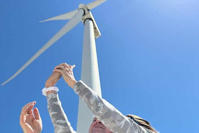 Palm Springs Windmill Guided Tour by Golf Cart - Final Thoughts: Who Will Love This Tour?