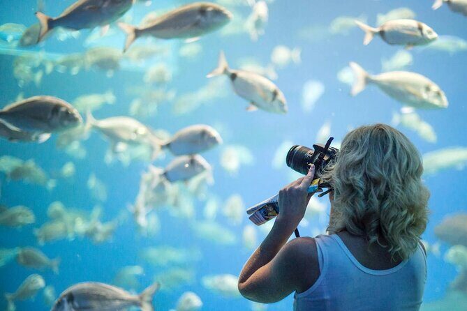 Palma Acquarium with Transfer - Practical Aspects: Price, Duration, and Value
