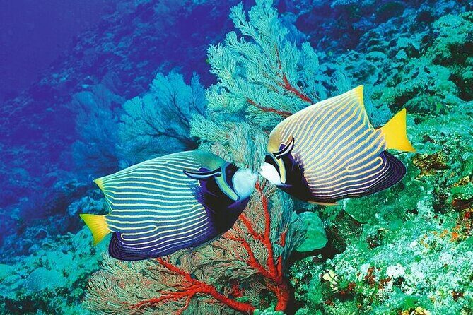 Palma Acquarium with Transfer - Final Thoughts