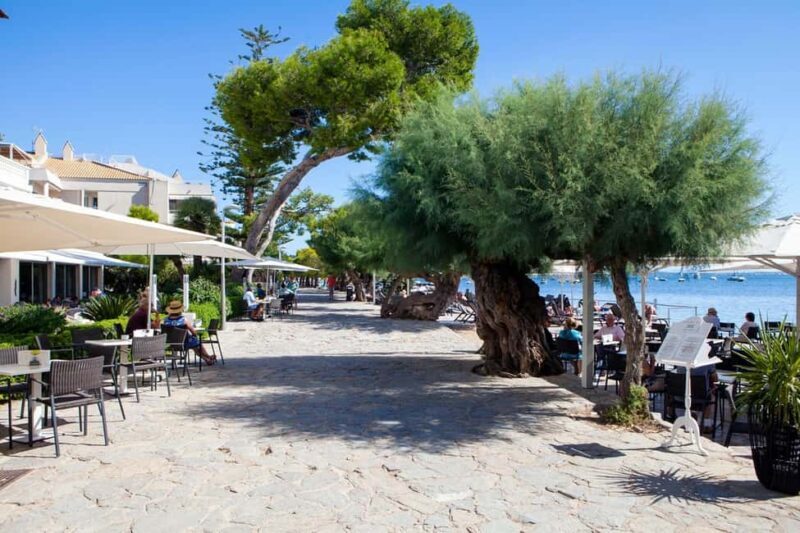 Palma: Alcúdia, Port de Pollença & Cap de Formentor Day Trip - Why This Tour Might Be Perfect for You