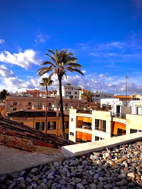 Palma authentically. City tour with snacks and wine - An In-Depth Look at the Palma City Tour