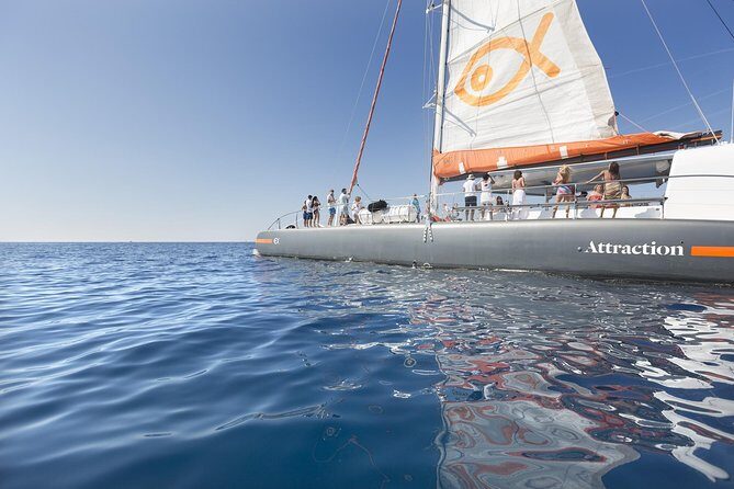 Palma Bay Catamaran Half-Day Cruise - What to Expect from the Palma Bay Catamaran Half-Day Cruise