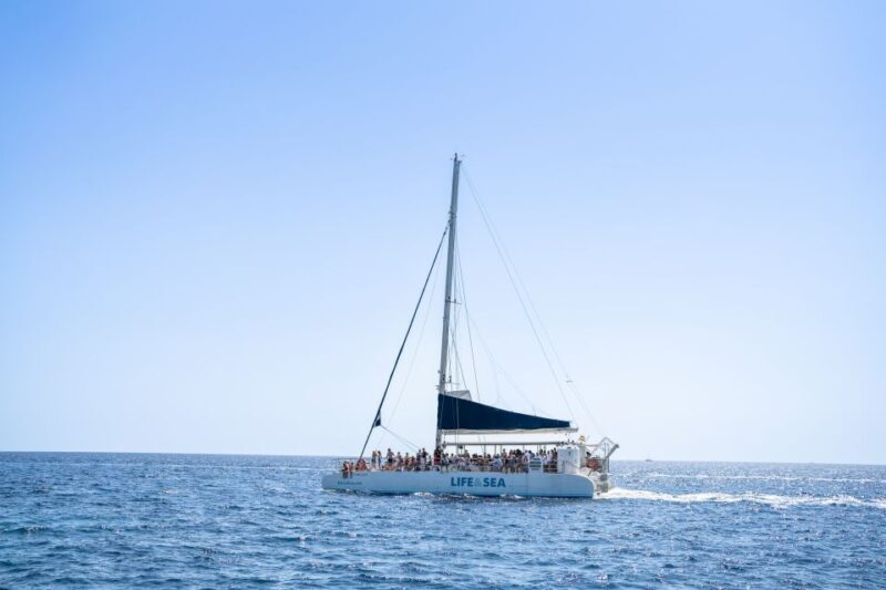 Palma: Catamaran Cruise with Swimming and Snorkelling - What to Expect on the Palma Catamaran Tour