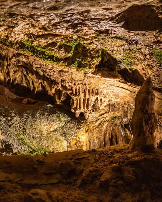 Palma: Caves of Genova Ticket & Digital Audio Guide - Palma: Caves of Genova Ticket & Digital Audio Guide Review