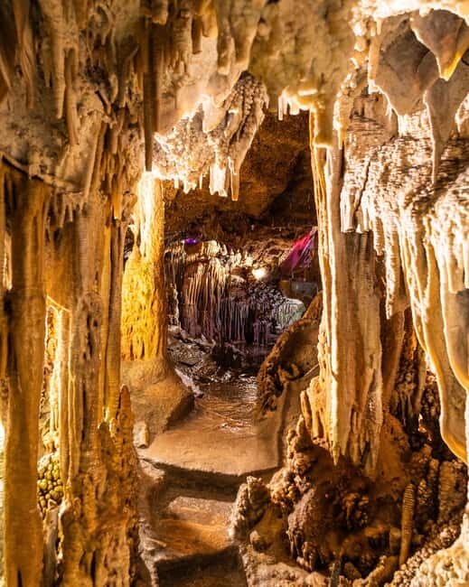 Palma: Caves of Genova Ticket & Digital Audio Guide - Who Would Love This Tour?