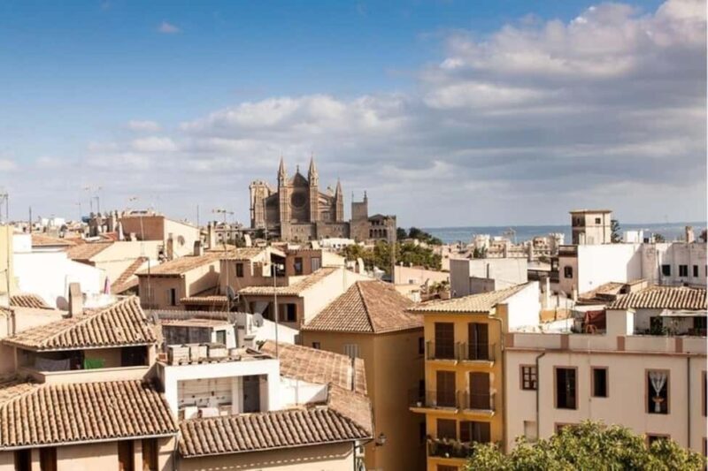 Palma de Mallorca : Best Street Food Tour With A Local Guide - Who Should Consider This Tour?