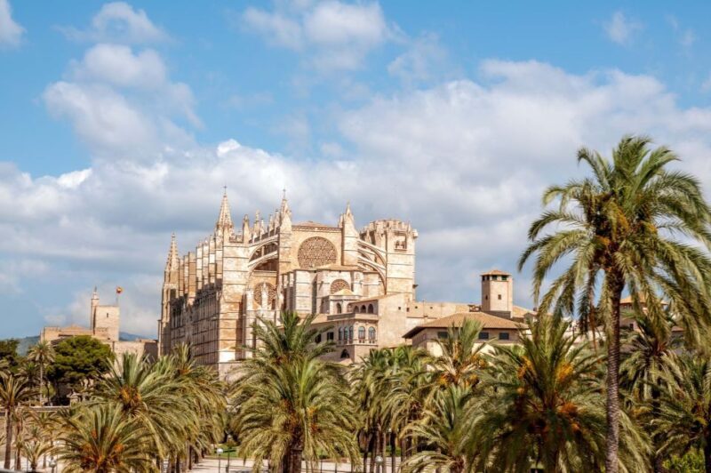 Palma de Mallorca: City Sightseeing Hop-On Hop-Off Bus Tour - An In-Depth Look at the Palma Hop-On Hop-Off Experience