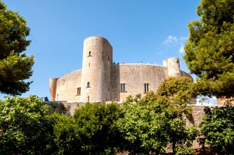 Palma de Mallorca: City Sightseeing Hop-On Hop-Off Bus Tour - FAQs