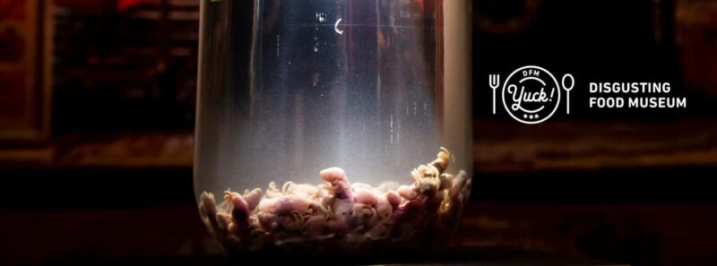 Palma de Mallorca: Disgusting Food Museum Entry Ticket - Who Should Book This Tour?