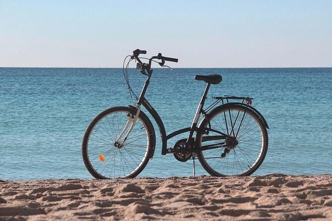 Palma de Mallorca Easy Bike Tour - Final Thoughts