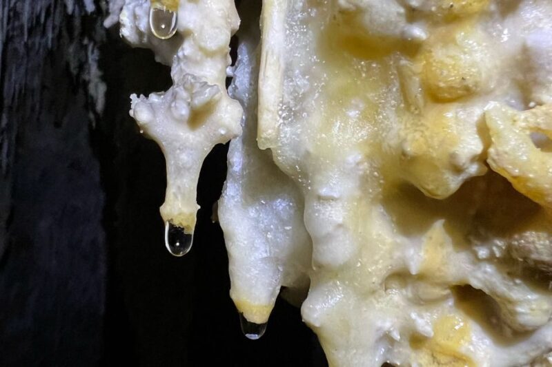 Palma de Mallorca: Es Marmols Cave Tour - Key Points