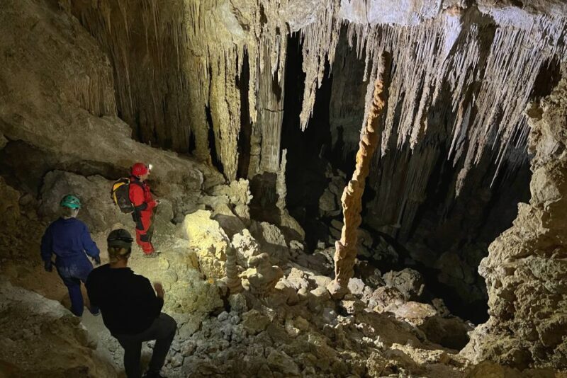 Palma de Mallorca: Es Marmols Cave Tour - Summary: Who is this tour ideal for?