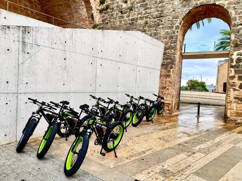 Palma de Mallorca: Exclusive Fat Tire e-Bike Rental - Final Thoughts