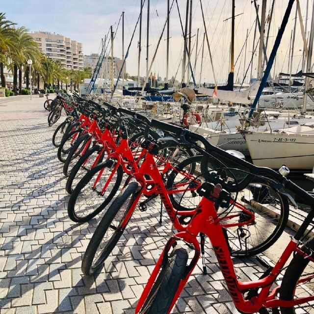Palma de Mallorca: Guided Bicycle Tour with Tapas & a Drink - Exploring the Old Town’s Charm