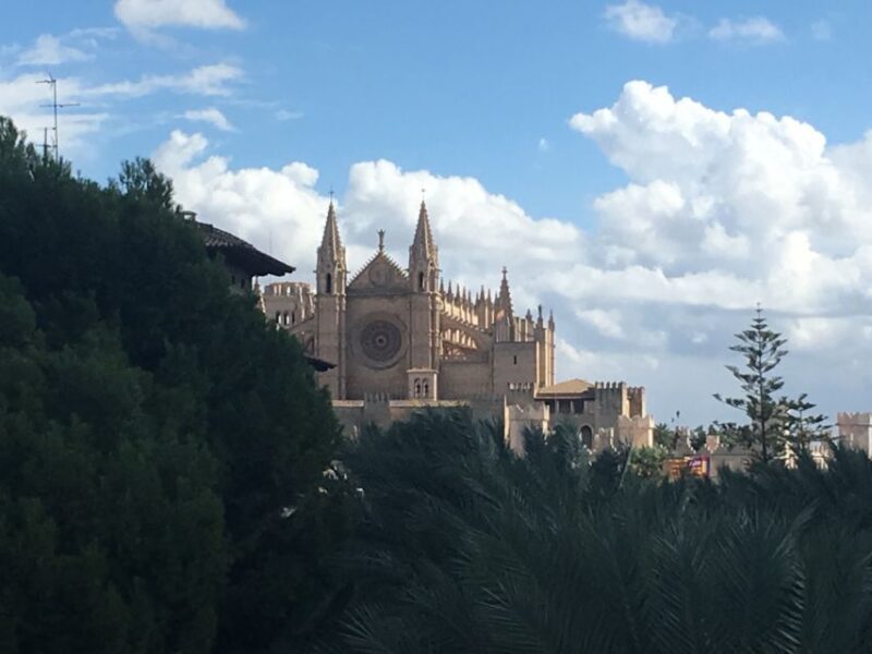 Palma de Mallorca: Guided Tour of the Old Town - Who Will Love This Tour?