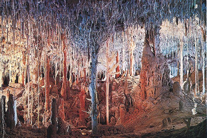Palma de Mallorca Half-Day to Caves of Hams, Blue Cave and film - What Travelers Are Saying: Authentic Insights
