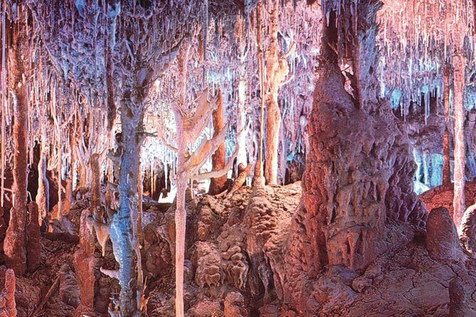 Palma de Mallorca Half-Day to Caves of Hams, Blue Cave and film - Pricing and Value: Does it Match?