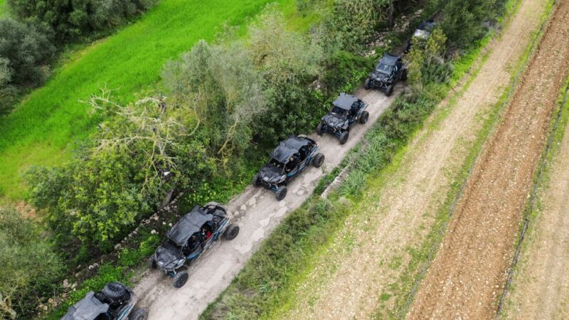 Palma de Mallorca: Off/On Road Buggy Tour with 2 or 4 Seater - Final Words